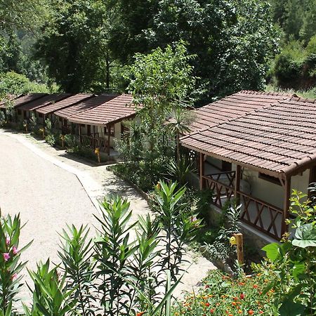 Eco Family Park Hotel Beskonak Exterior foto