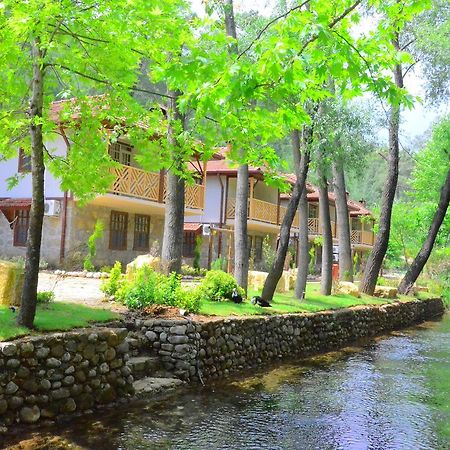 Eco Family Park Hotel Beskonak Exterior foto