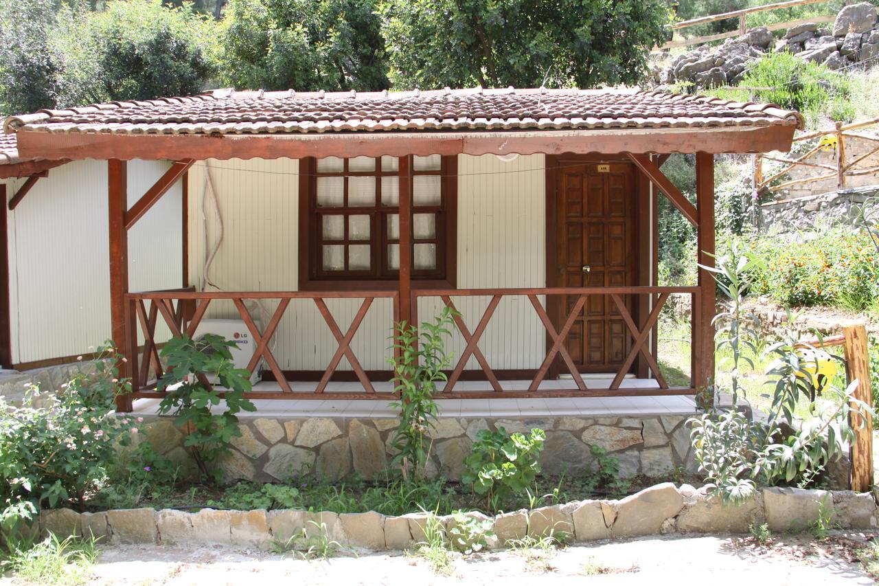 Eco Family Park Hotel Beskonak Habitación foto